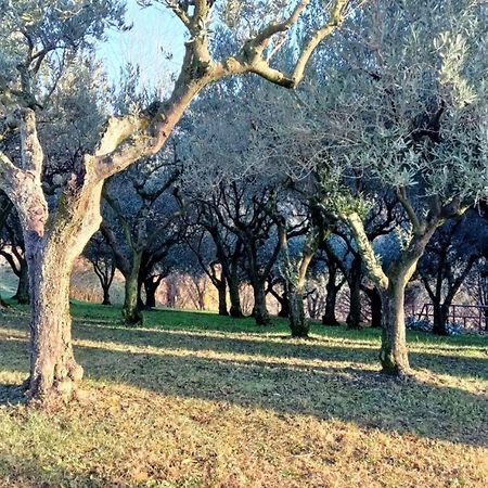 Bed and Breakfast Il Giuggiolo Conegliano Exterior foto