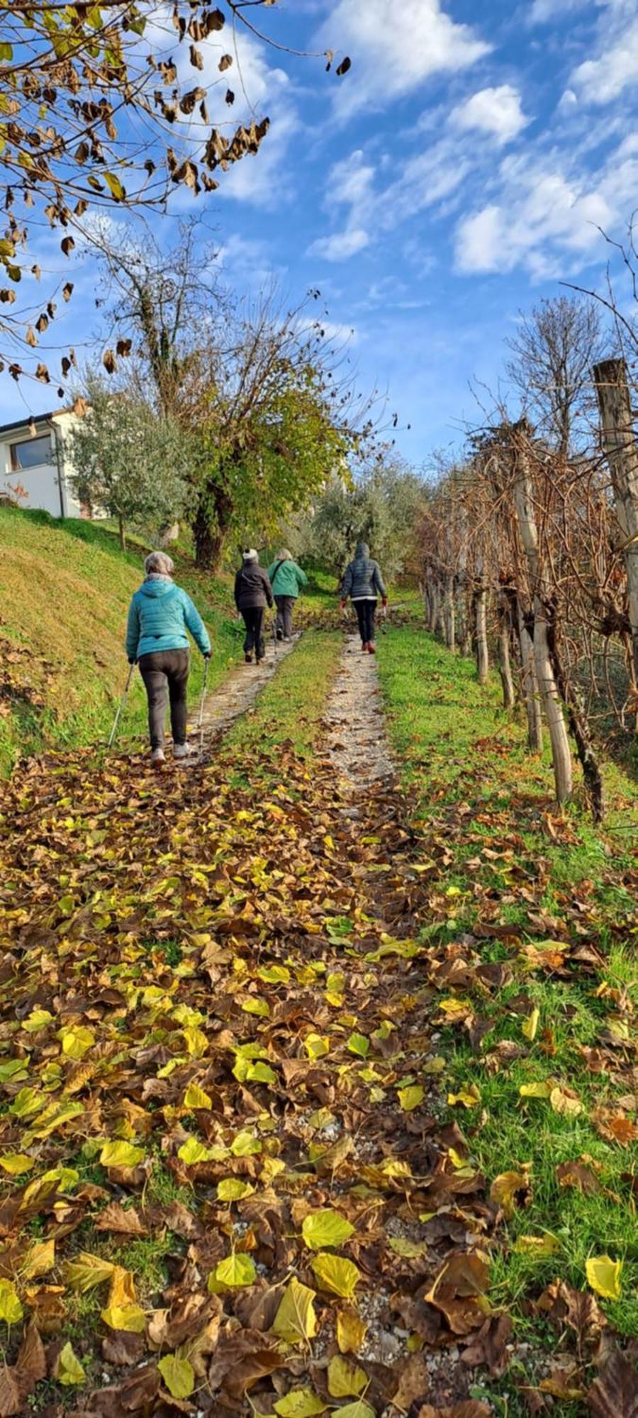 Bed and Breakfast Il Giuggiolo Conegliano Exterior foto