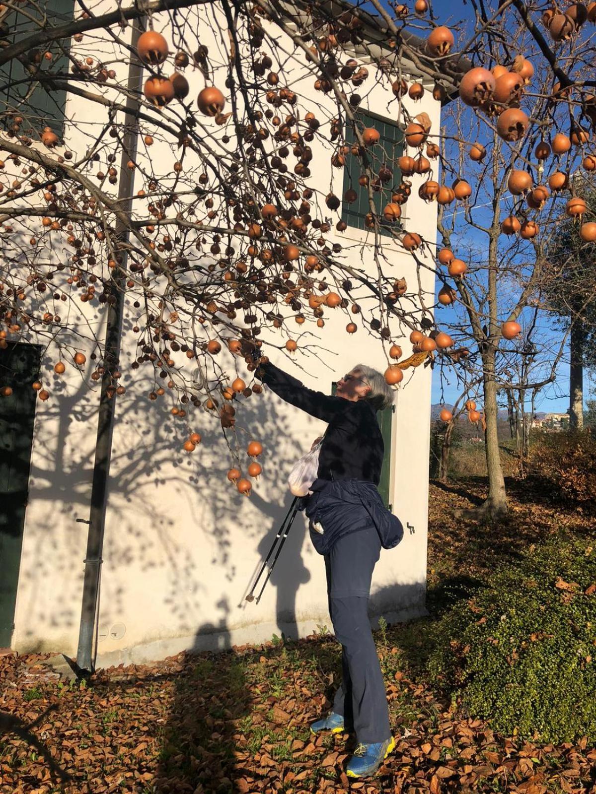 Bed and Breakfast Il Giuggiolo Conegliano Exterior foto