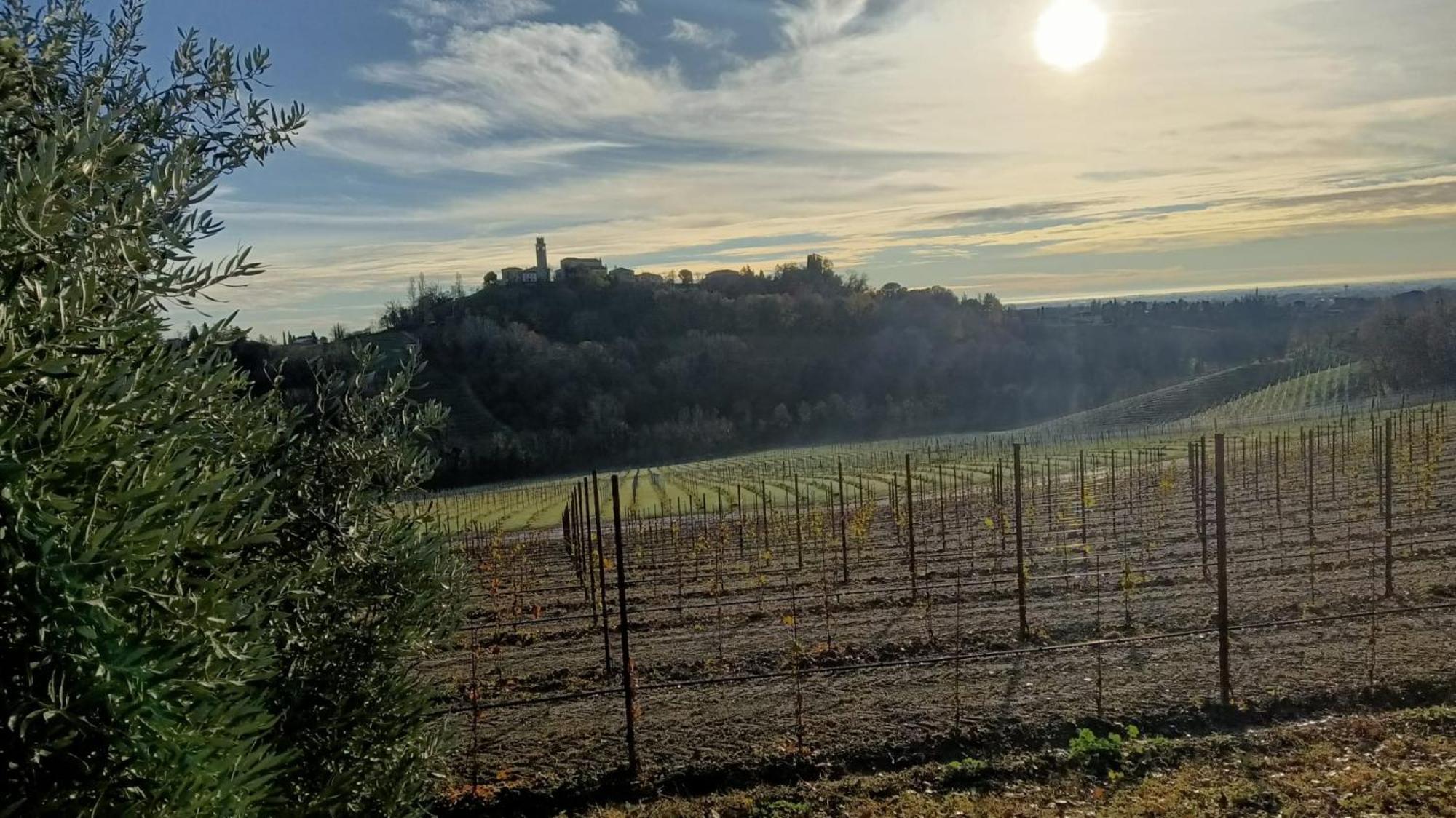 Bed and Breakfast Il Giuggiolo Conegliano Exterior foto