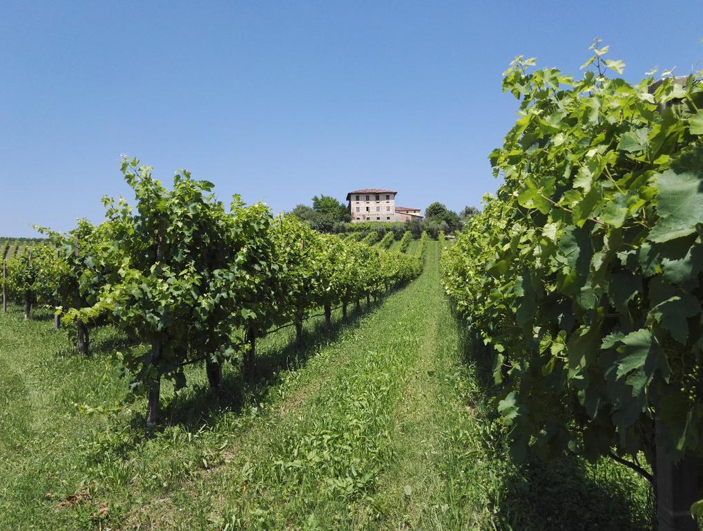 Bed and Breakfast Il Giuggiolo Conegliano Exterior foto