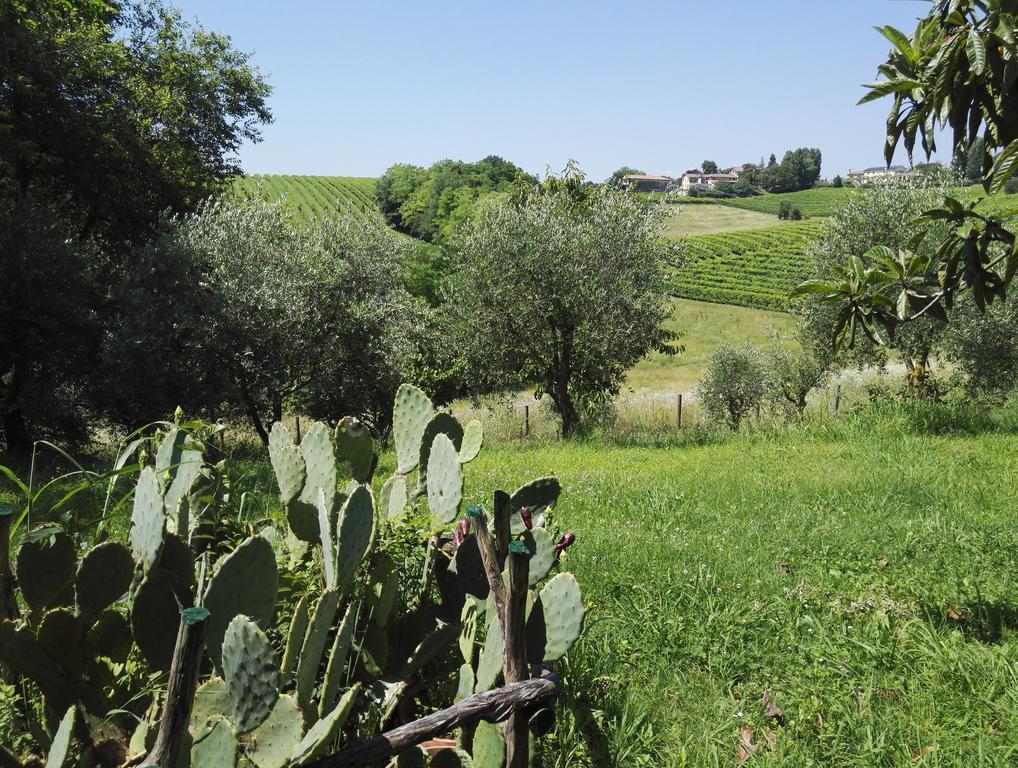 Bed and Breakfast Il Giuggiolo Conegliano Exterior foto